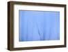 Iceberg-DLILLC-Framed Photographic Print