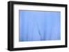 Iceberg-DLILLC-Framed Photographic Print