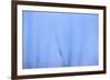 Iceberg-DLILLC-Framed Photographic Print