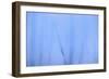 Iceberg-DLILLC-Framed Photographic Print