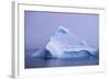 Iceberg-DLILLC-Framed Photographic Print