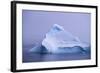 Iceberg-DLILLC-Framed Photographic Print