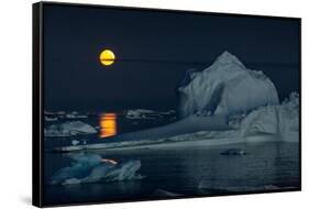 Icebergs and a full moon, Thule, North Greenland-Uri Golman-Framed Stretched Canvas