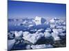 Icebergs and Brash Ice, Antarctica, Polar Regions-Geoff Renner-Mounted Photographic Print