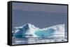 Icebergs and Brash Ice Near the Cumberland Peninsula, Baffin Island, Nunavut, Canada, North America-Michael Nolan-Framed Stretched Canvas