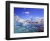 Icebergs and Ice Flows in the Artic Sea, Near Paradise Harbor, Antarctica-Miva Stock-Framed Photographic Print