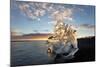 Icebergs at Sunset on Jokulsa Beach, on the Edge of the Vatnajokull National Park, South Iceland-Lee Frost-Mounted Photographic Print