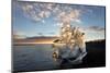 Icebergs at Sunset on Jokulsa Beach, on the Edge of the Vatnajokull National Park, South Iceland-Lee Frost-Mounted Photographic Print