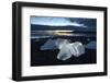 Icebergs at Sunset on Jokulsa Beach, on the Edge of the Vatnajokull National Park, South Iceland-Lee Frost-Framed Photographic Print