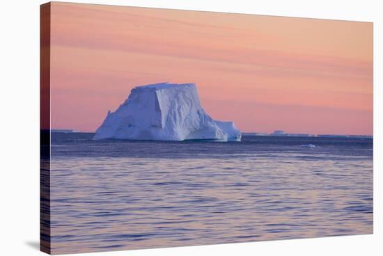 Icebergs at Sunset-null-Stretched Canvas