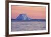 Icebergs at Sunset-null-Framed Photographic Print