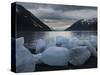 Icebergs Calved by Portage Glacier on the Shore of Portage Lake, Chugach State Park, Alaska.-Ethan Welty-Stretched Canvas