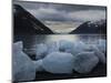 Icebergs Calved by Portage Glacier on the Shore of Portage Lake, Chugach State Park, Alaska.-Ethan Welty-Mounted Photographic Print