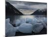 Icebergs Calved by Portage Glacier on the Shore of Portage Lake, Chugach State Park, Alaska.-Ethan Welty-Mounted Photographic Print