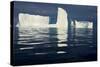 Icebergs, Disko Bay, Greenland, August 2009-Jensen-Stretched Canvas