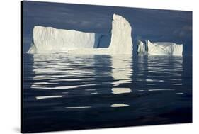 Icebergs, Disko Bay, Greenland, August 2009-Jensen-Stretched Canvas