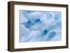 Icebergs drifting in the fjords of southern Greenland, Denmark-Martin Zwick-Framed Photographic Print