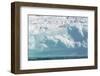 Icebergs drifting in the fjords of southern Greenland, Denmark-Martin Zwick-Framed Photographic Print