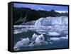 Icebergs Float Past Alalik Glacier, Kenai Fjords National Park, Alaska, USA-Paul Souders-Framed Stretched Canvas