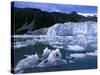 Icebergs Float Past Alalik Glacier, Kenai Fjords National Park, Alaska, USA-Paul Souders-Stretched Canvas