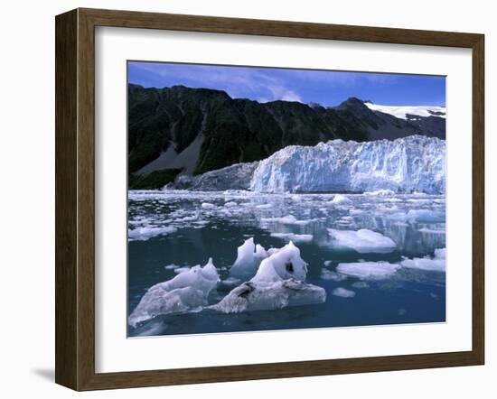 Icebergs Float Past Alalik Glacier, Kenai Fjords National Park, Alaska, USA-Paul Souders-Framed Premium Photographic Print