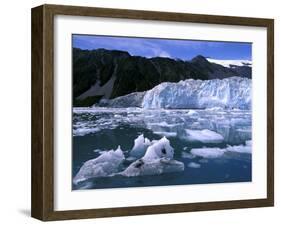 Icebergs Float Past Alalik Glacier, Kenai Fjords National Park, Alaska, USA-Paul Souders-Framed Premium Photographic Print