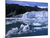 Icebergs Float Past Alalik Glacier, Kenai Fjords National Park, Alaska, USA-Paul Souders-Mounted Photographic Print