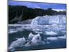 Icebergs Float Past Alalik Glacier, Kenai Fjords National Park, Alaska, USA-Paul Souders-Mounted Photographic Print