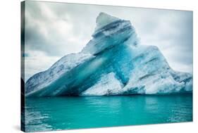 Icebergs Floating. Ices and Icebergs. Glacier-Oprea George-Stretched Canvas