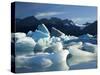 Icebergs Floating in Alsek Lake. Glacier Bay National Park, Ak.-Justin Bailie-Stretched Canvas