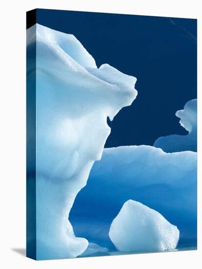 Icebergs Floating in Alsek Lake. Glacier Bay National Park, Ak.-Justin Bailie-Stretched Canvas