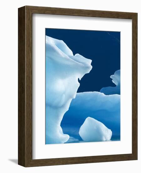 Icebergs Floating in Alsek Lake. Glacier Bay National Park, Ak.-Justin Bailie-Framed Photographic Print