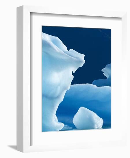 Icebergs Floating in Alsek Lake. Glacier Bay National Park, Ak.-Justin Bailie-Framed Photographic Print