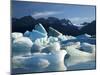 Icebergs Floating in Alsek Lake. Glacier Bay National Park, Ak.-Justin Bailie-Mounted Photographic Print