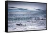 Icebergs Floating in the Glacier Lagoon Beneath Breidamerkurjokull Glacier, Jokulsarlon-Andrew Sproule-Framed Stretched Canvas