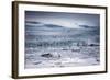 Icebergs Floating in the Glacier Lagoon Beneath Breidamerkurjokull Glacier, Jokulsarlon-Andrew Sproule-Framed Photographic Print