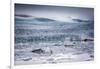 Icebergs Floating in the Glacier Lagoon Beneath Breidamerkurjokull Glacier, Jokulsarlon-Andrew Sproule-Framed Photographic Print