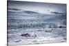 Icebergs Floating in the Glacier Lagoon Beneath Breidamerkurjokull Glacier, Jokulsarlon-Andrew Sproule-Stretched Canvas