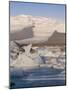 Icebergs Floating in the Lagoon Beneath Breidamerkurjokull Glacier, Southern Area, Iceland-Gavin Hellier-Mounted Photographic Print