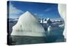 Icebergs floating near Enterprise Island in Wilhelmina Bay, Antarctica-Paul Souders-Stretched Canvas