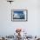 Icebergs floating near Enterprise Island in Wilhelmina Bay, Antarctica-Paul Souders-Framed Photographic Print displayed on a wall