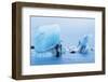 Icebergs floating on Jokulsarlon Glacial Lagoon, Iceland, Polar Regions-Miles Ertman-Framed Photographic Print