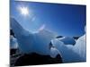 Icebergs from Columbia Glacier, Prince William Sound, Alaska, USA-Hugh Rose-Mounted Photographic Print