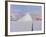 Icebergs in front of Storen Island, Uummannaq fjord system during winter. Greenland-Martin Zwick-Framed Photographic Print