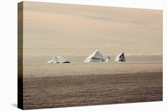 Icebergs in Greenland-Françoise Gaujour-Stretched Canvas