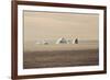 Icebergs in Greenland-Françoise Gaujour-Framed Photographic Print