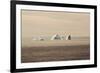 Icebergs in Greenland-Françoise Gaujour-Framed Photographic Print