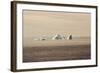 Icebergs in Greenland-Françoise Gaujour-Framed Photographic Print