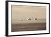 Icebergs in Greenland-Françoise Gaujour-Framed Photographic Print