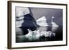 Icebergs in Greenland-Françoise Gaujour-Framed Photographic Print